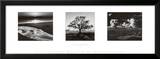 Trilogy Posters by Ansel Adams