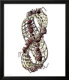 Ants Prints by M. C. Escher