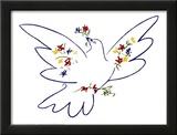 Dove of Peace Prints by Pablo Picasso