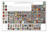 Cartoon Periodic Table Chart Educational Poster Posters by Zak Zych