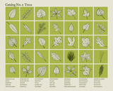 Catalog 1 - Trees Serigraph by  Brainstorm