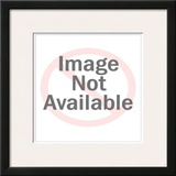 Nelson Mandela Prints
