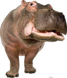 Hippopotamus Lifesize Standup Poster Imagen a tamaño natural Hippopotamus Lifesize Standup Poster Imagen a tamaño natural