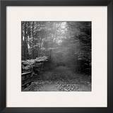 Autumn Walk Prints by Mary Ruppert