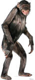 Chimpanzee Lifesize Standup Poster Silhouette découpée