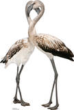 Flamingos - Love Birds Lifesize Standup Poster Imagen a tamaño natural Flamingos - Love Birds Lifesize Standup Poster Imagen a tamaño natural