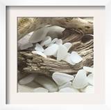 Sea Glass, White Prints by Celia Pearson