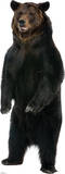 Brown Bear Lifesize Standup Poster Stand Up