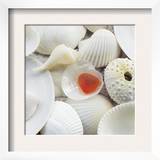 Sea Glass, Orange Prints by Celia Pearson