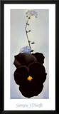 Pansy, 1926 Posters by Georgia O'Keeffe