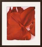 Red Cannas Prints by Georgia O'Keeffe