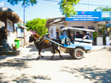 Cidomo, a Horse and Cart on Gili Trawangan, Gili Islands, Indonesia, Southeast Asia, Asia Photographic Print by Matthew Williams-Ellis