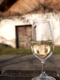 Glass of White Wine (Riesling) at Wine Cellar, Village of Vlkos, Brnensko, Czech Republic, Europe Photographic Print by Richard Nebesky