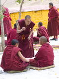 Tibetan Buddhist Monks Debating in Sera Monastery in Lhasa, Tibet, China, Asia Photographic Print by Nancy Brown