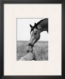 Partners Prints by Gregg Albracht