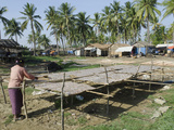 Woman Laying Fish for Drying in the Sun, Lay Win Kwin Village, Irrawaddy Delta, Myanmar (Burma) Photographic Print by Eitan Simanor