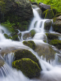 Cascading Stream over Moss Covered Boulders, Exmoor National Park, Devon, England, United Kingdom Photographic Print by Adam Burton