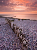 Weathered Wooden Coastal Defences on Bossington Beach, Exmoor National Park, Somerset, England, UK Photographic Print by Adam Burton
