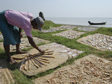 Fisherman Spreading Fish Catch in the Sun for Drying, Irrawaddy Delta, Myanmar (Burma), Asia Photographic Print by Eitan Simanor