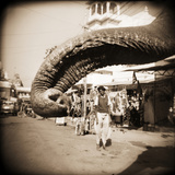 Elephant Trunk at Indian Bazaar Photographic Print by Theo Westenberger