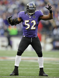 NFL Playoffs 2013: Colts vs Ravens - Ray Lewis Photographic Print by Nick Wass