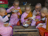 Young Novice Nuns Having their Breakfast in the Streets of Yangon, Myanmar (Burma), Asia Fotografisk tryk af Eitan Simanor Young Novice Nuns Having their Breakfast in the Streets of Yangon, Myanmar (Burma), Asia Fotografisk tryk af Eitan Simanor