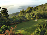 Garden with a View on Taal Lake, Tagaytay, Philippines, Southeast Asia, Asia Photographic Print by Luca Tettoni