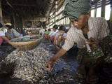 Elderly Woman with Cigar, Fishing Village of Lay Win Kwin, Irrawaddy Delta, Myanmar (Burma) Photographic Print by Eitan Simanor