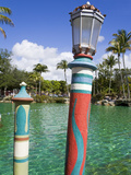Venetian Pool, Coral Gables, Miami, Florida, United States of America, North America Photographic Print by Richard Cummins