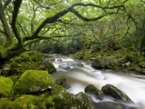 Rocky River Plym Near Shaugh Prior in Dartmoor National Park, Devon, England, United Kingdom Photographic Print by Adam Burton