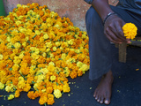 Marigolds, Flower Market, Madurai, Tamil Nadu, India, Asia Photographic Print by  Tuul