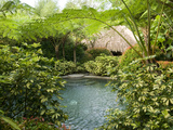 Pool in a Tropical Garden, Laguna, Philippines, Southeast Asia, Asia Photographic Print by Luca Tettoni