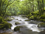 Rocky River Plym Flowing Through Dewerstone Wood in Dartmoor National Park, Devon, England, UK Photographic Print by Adam Burton
