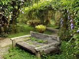 Moon Garden Features Series of Trellises with Thunbergias, by P. Geertz, Tagaytay, Philippines Photographic Print by Luca Tettoni