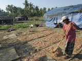 Drying Prawns in Fishing Village of Lay Win Kwin Village, Irrawaddy Delta, Myanmar (Burma), Asia Photographic Print by Eitan Simanor