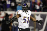 NFL Playoffs 2013: Patriots vs Ravens - Ray Lewis Photographic Print by Stephan Savoia