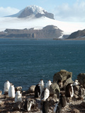 Aitcho Island, Antarctica, Polar Regions Photographic Print by Ethel Davies