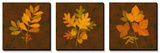 Fall Leaves Triptych Print