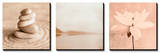 Zen Nature Triptych Prints