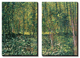 Bois et sous-bois|Woods and Undergrowth, vers 1887 Affiche par Vincent van Gogh