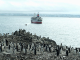 Chinstrap Penguins on Shore with Cruise Ship and Zodiac in Background, Hannah Point, Anarctica Photographic Print by Ethel Davies