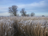Norfolk Broads Winter Scene Near Ludham Bridge, Norfolk, England Lámina fotográfica por Jon Gibbs Norfolk Broads Winter Scene Near Ludham Bridge, Norfolk, England Lámina fotográfica por Jon Gibbs