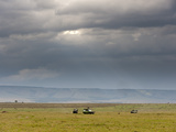 Masai Mara, Kenya, East Africa, Africa Photographic Print by Sergio Pitamitz