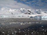 Neko Harbor, Antarctica, Polar Regions Photographic Print by Ethel Davies