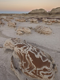 Rocks at the Egg Factory at Dusk, Bisti Wilderness, New Mexico, USA, North America Photographic Print by James Hager