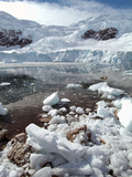 Neko Harbor, Antarctica, Polar Regions Photographic Print by Ethel Davies
