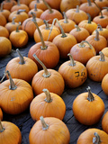 Large Number of Pumpkins for Sale on a Farm in St. Joseph, Missouri, USA, North America Photographic Print by Simon Montgomery