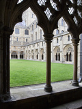 Norwich Cathedral Cloisters, Norwich, Norfolk, England, United Kingdom, Europe Photographic Print by Mark Sunderland