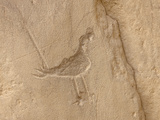 Petroglyph, Chaco Culture Nat'l Historical Park, UNESCO World Heritage Site, New Mexico, USA Fotografie-Druck von James Hager