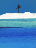 Sandbank and Palm Tree on Tropical Beach, Maldives, Indian Ocean, Asia Photographic Print by Sakis Papadopoulos